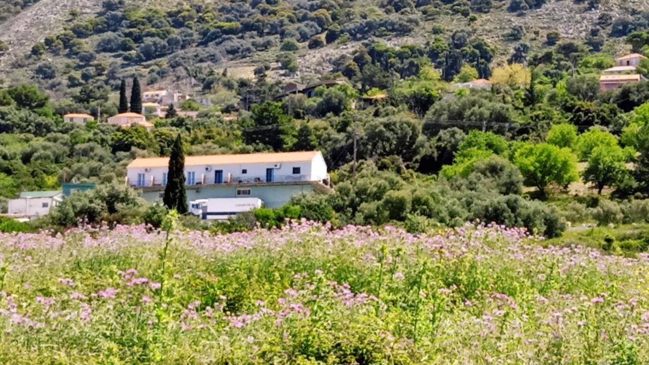 Aelia Sea Apartamento Argostoli  Exterior foto